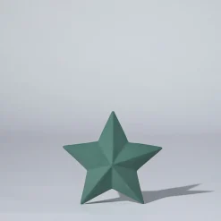 Star Decoration Moss (XL)